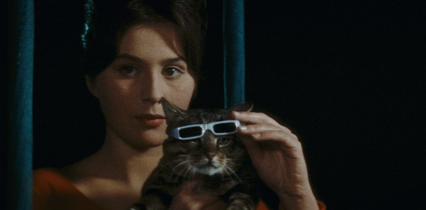 Un jour un chat
