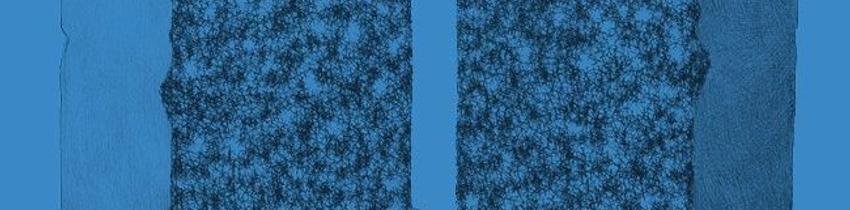 Fragmentée