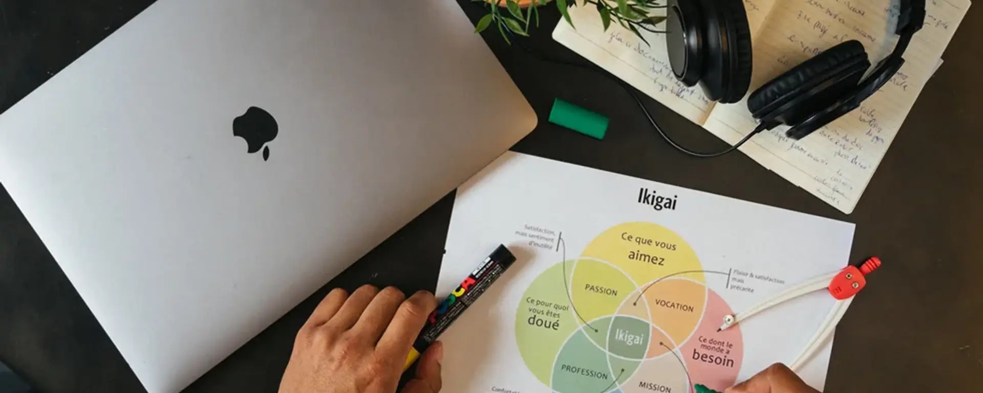 Ikigai